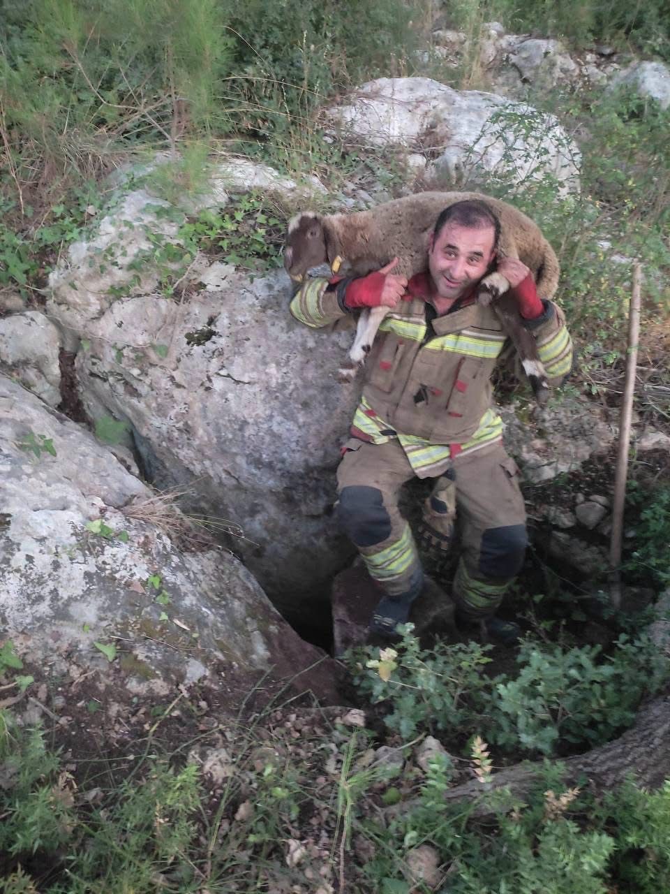 İskenderun’da dereye düşen koyun itfaiye ekiplerince kurtarıldı