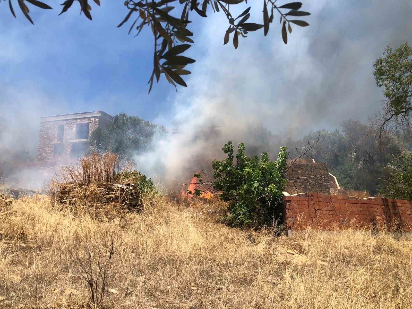 Rüzgarın büyüttüğü yangın 1 saatte söndürüldü