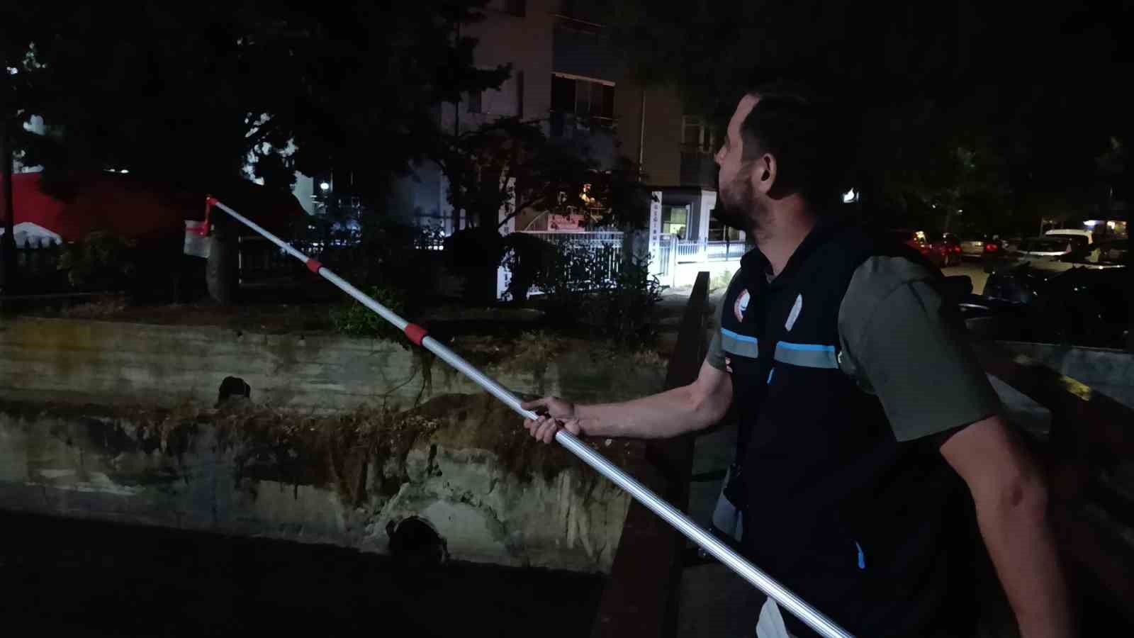 Değirmenaltı Deresi’nde balık ölümleri inceleniyor: Kurumlar seferber oldu