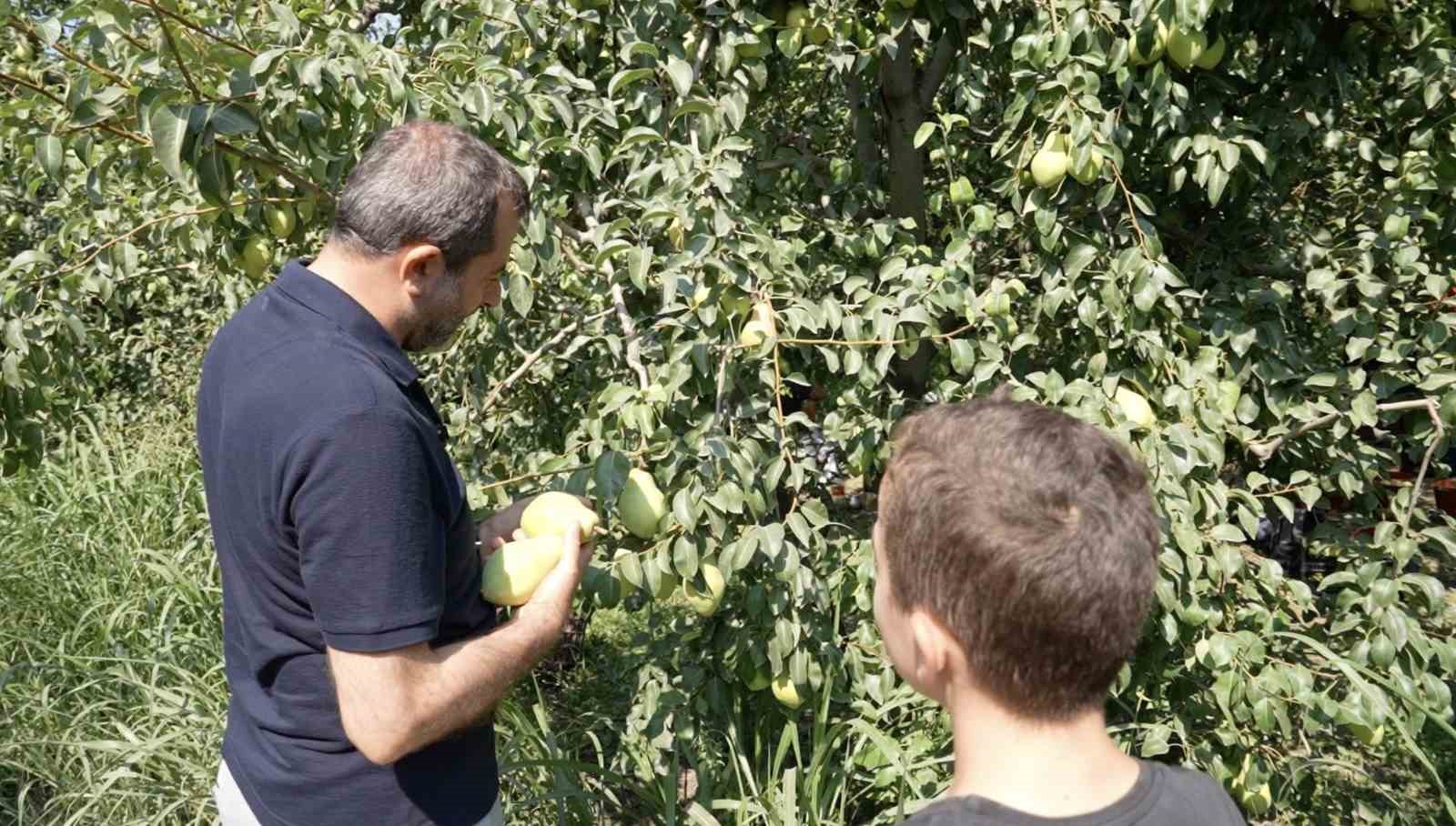 Gürsu’nun küçük çiftçisi herkesi kendine hayran bıraktı