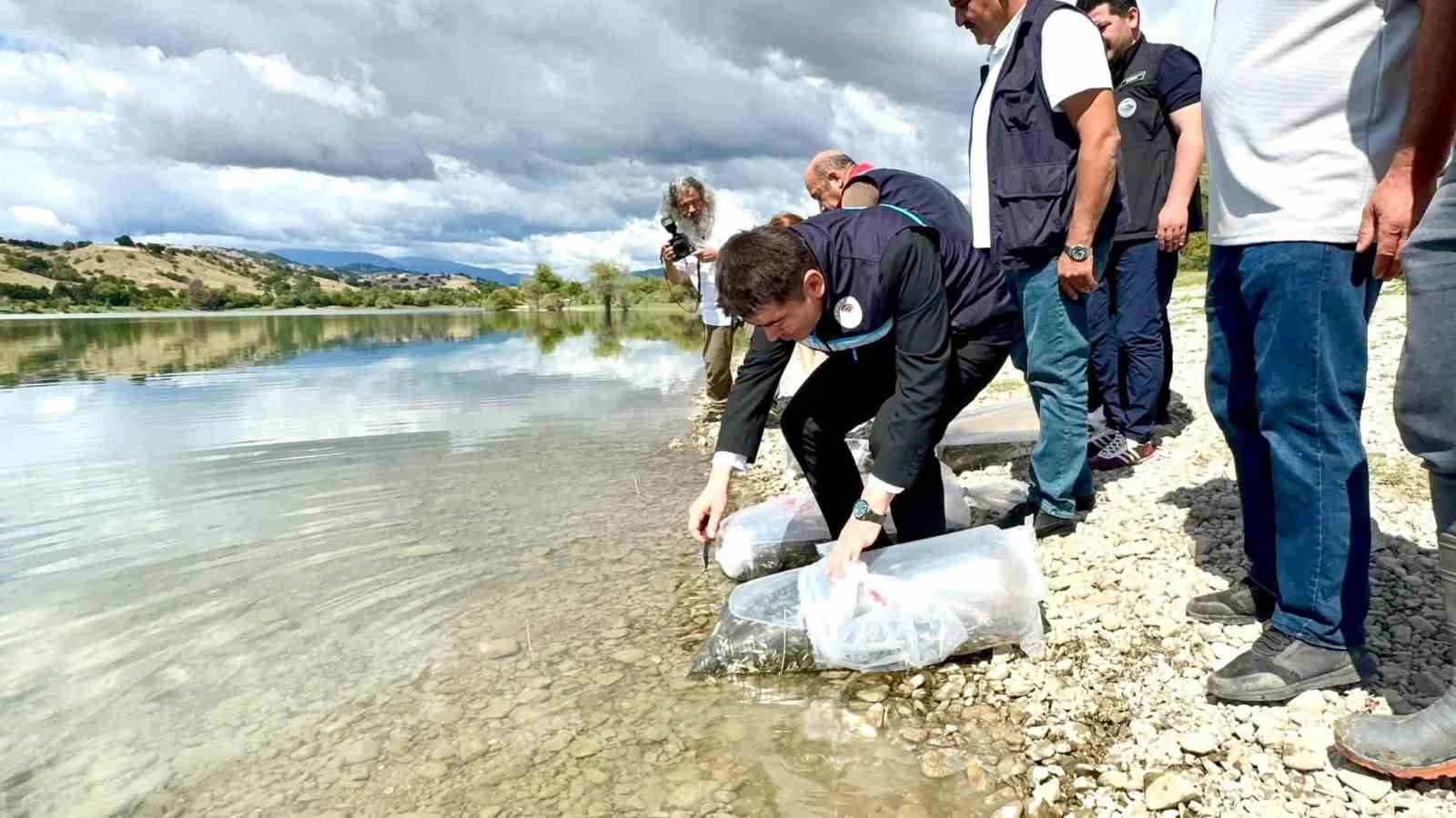 Uluköy Barajı’na 75 bin sazan yavrusu bırakıldı