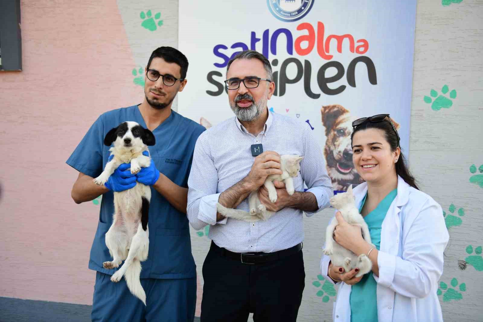 Bir tıkla yuva: Kestel Belediyesi ile sahiplenme artık daha kolay