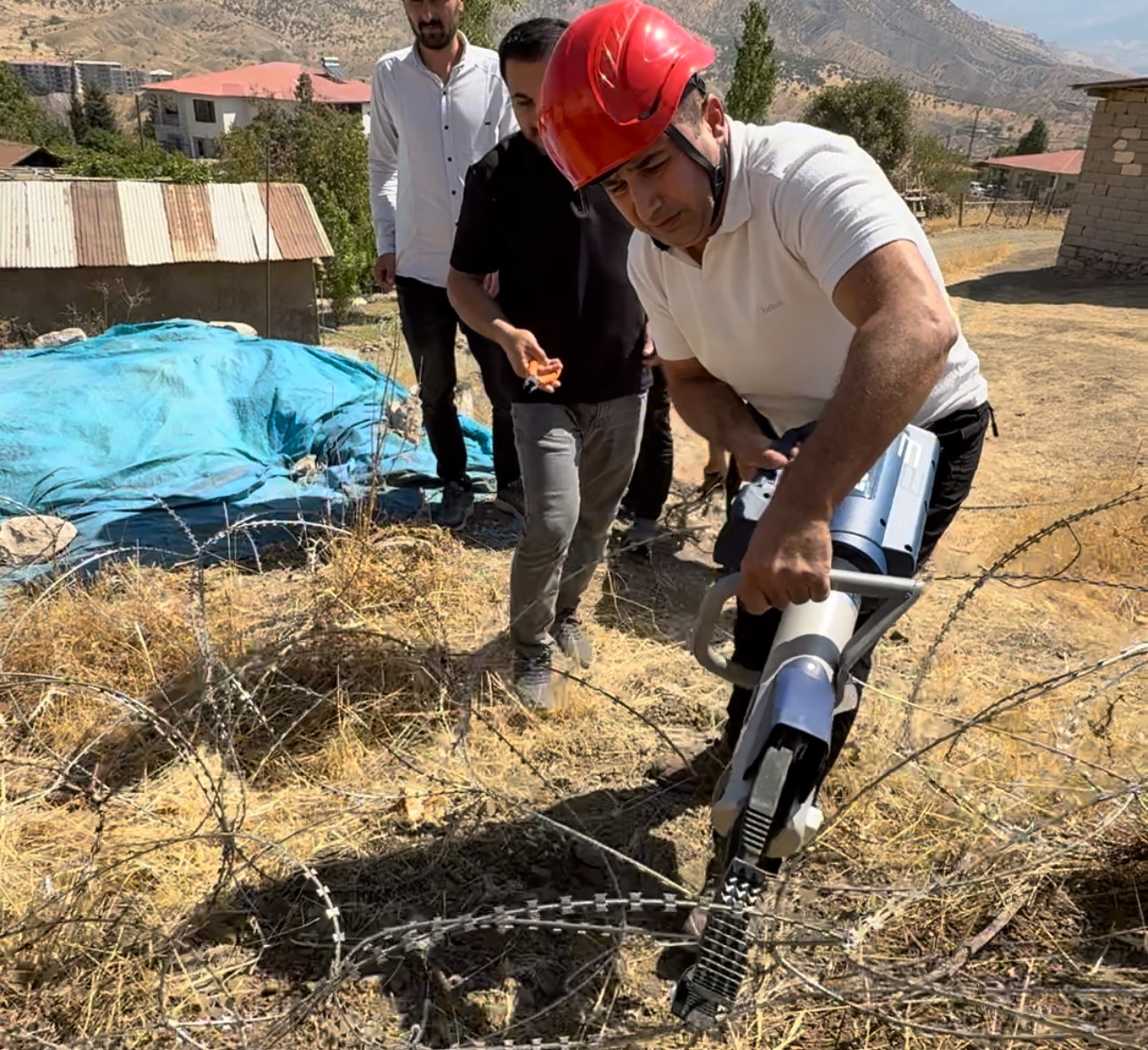 Sınır telleri arasında mahsur kalan atlar kurtarıldı