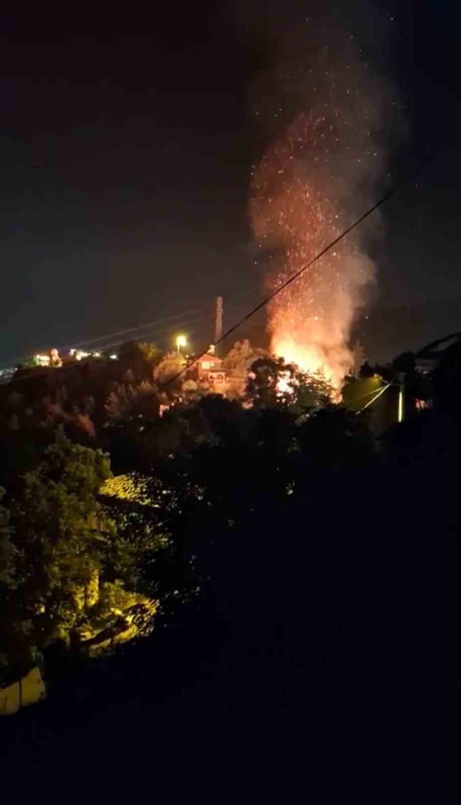 Alanya’da sazlık alanda yangın