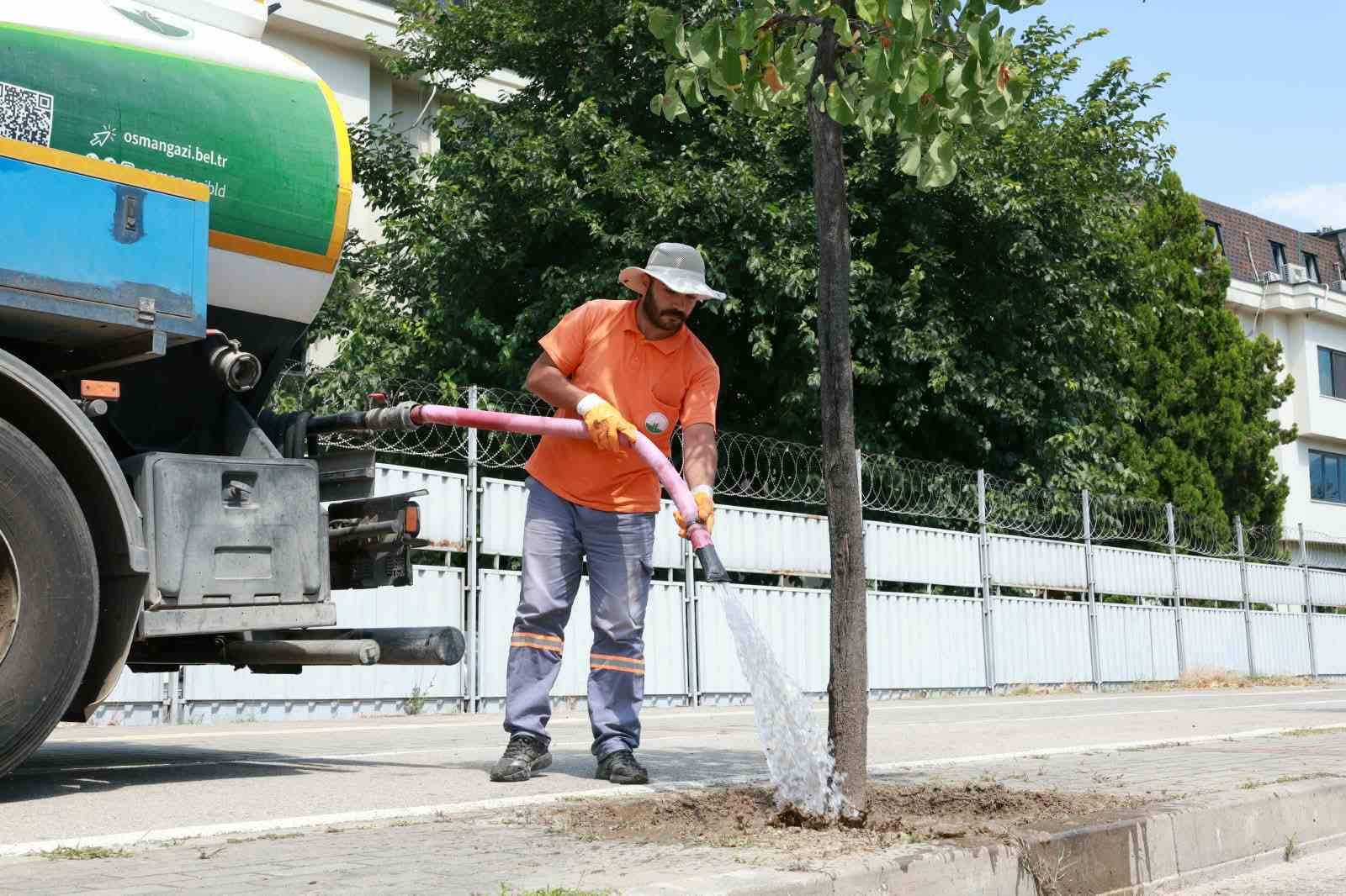 Osmangazi’de yeşil alanlarda titiz çalışma