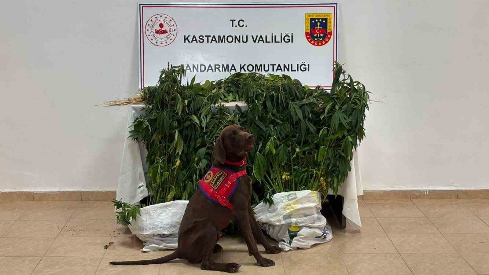 Kastamonu&rsquo;da uyuşturucu operasyonlarında yakalanan 3 ş&uuml;pheli tutuklandı