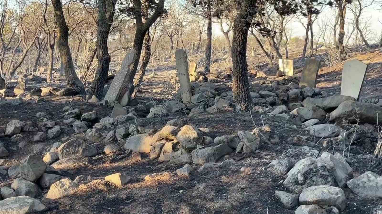 Balıkesir’de acı tablo.. Yangın mezarlığı yok etti