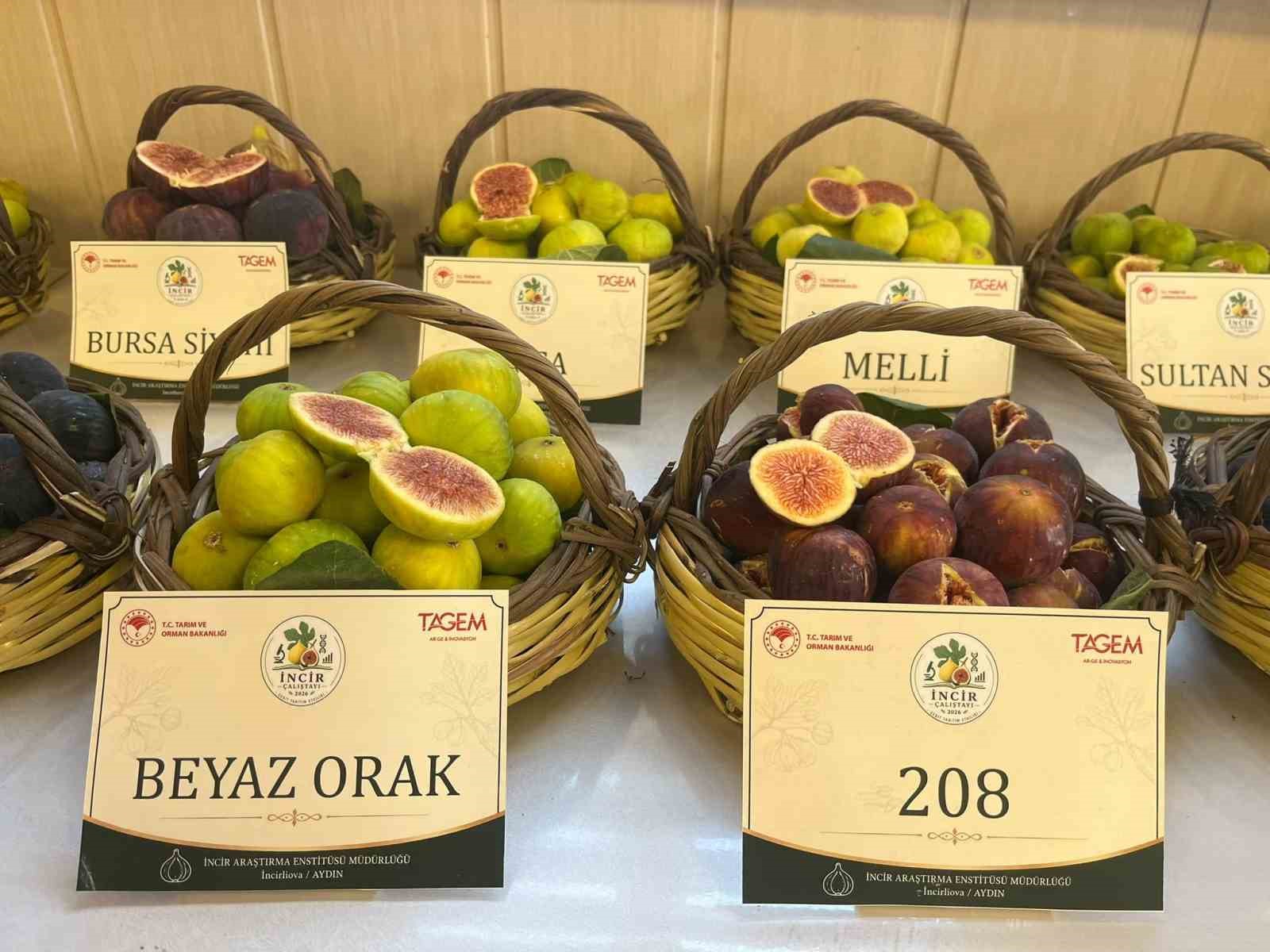 Aydın&rsquo;a 100 milyonluk yatırım