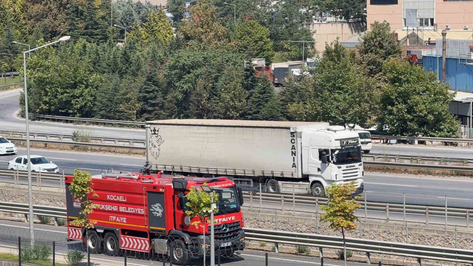 Ağaçlık alanda çıkan yangın büyümeden söndürüldü