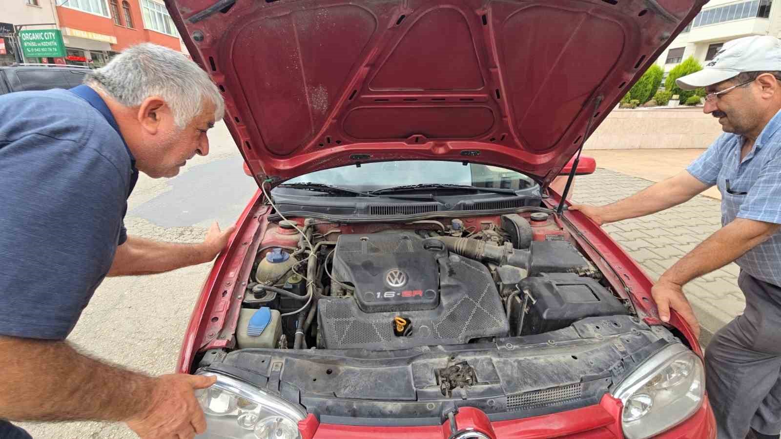 Otomobilin motoruna yavru kedi girdi, telefondan açılan anne kedi sesiyle kurtarıldı