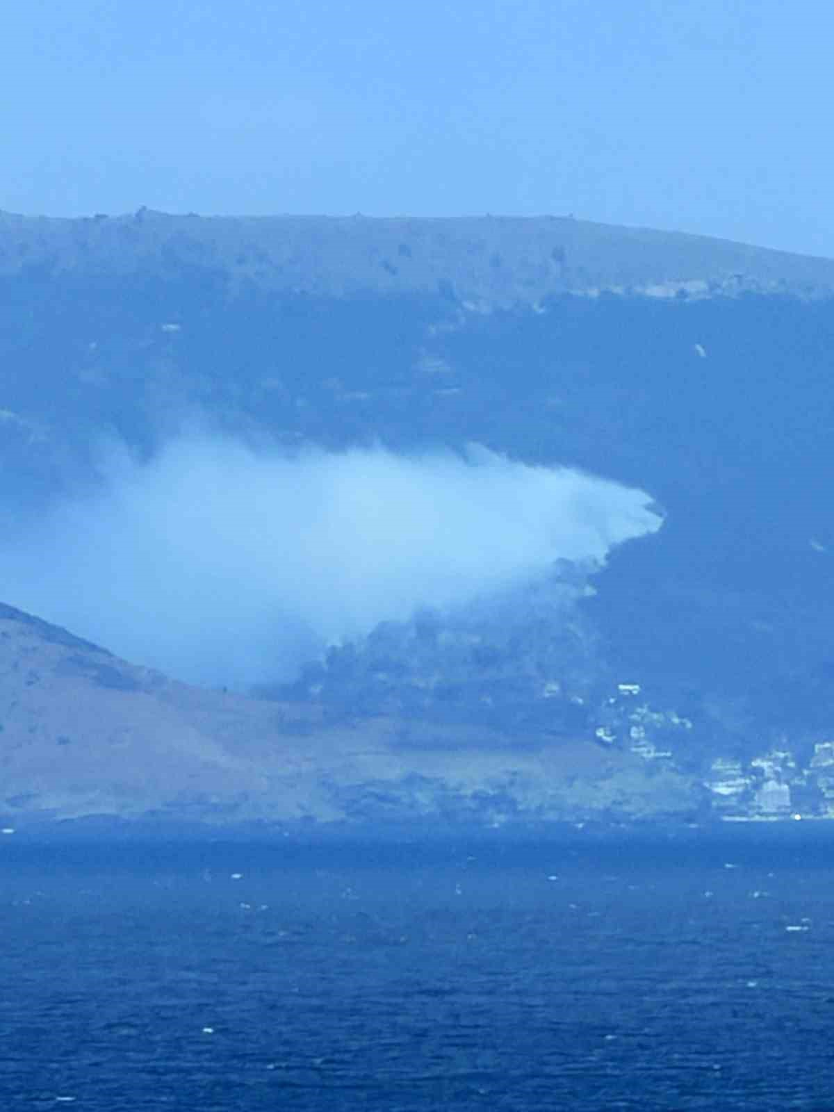 Marmara Adası’nda orman yangını başladı