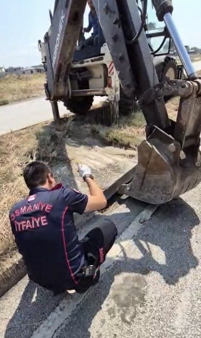 Osmaniye&rsquo;de mazgala d&uuml;şen yavru kedi itfaiye ekiplerince kurtarıldı