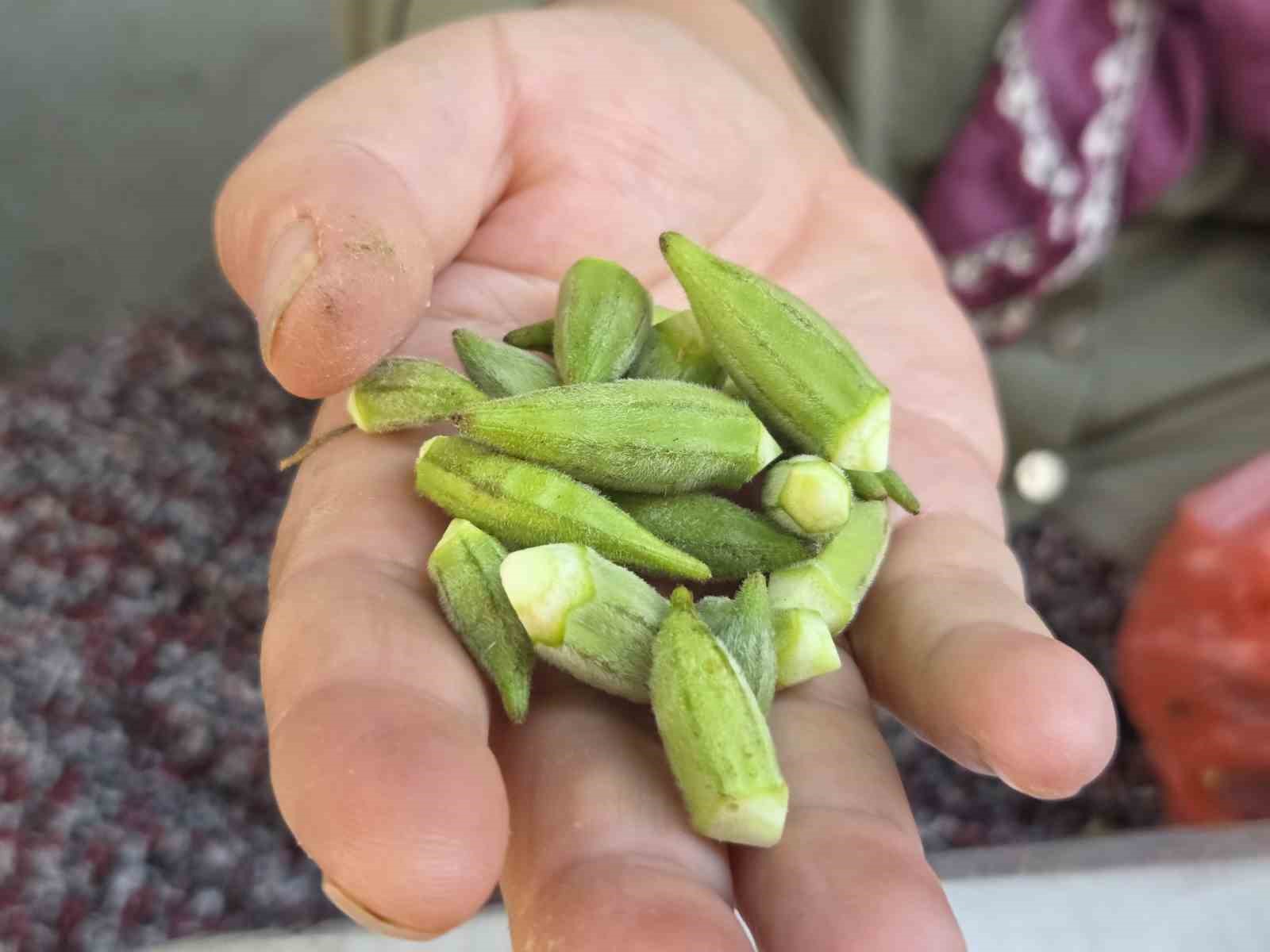 Boyu küçüldükçe fiyatı artıyor