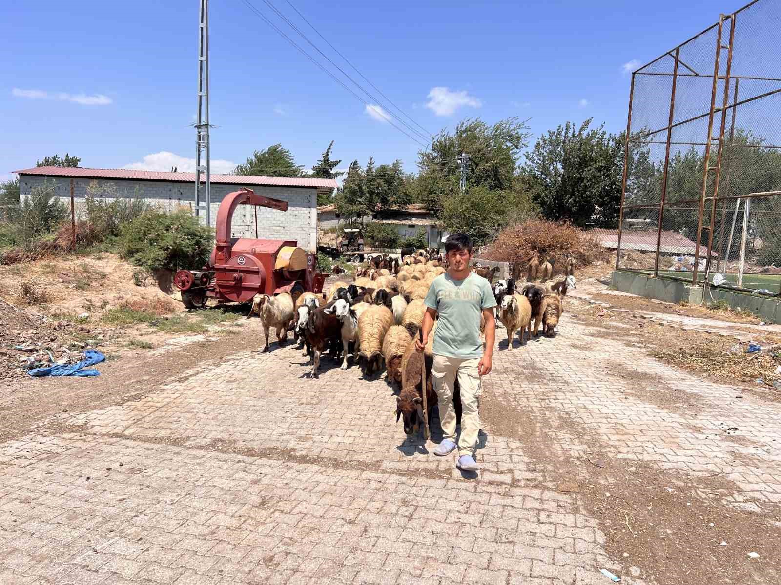 T&uuml;rk aile şefkatle yaklaştıkları ve 7. evlatları olarak g&ouml;rd&uuml;kleri Suriyeli Abdurrahman&rsquo;dan ayrılmak istemiyor