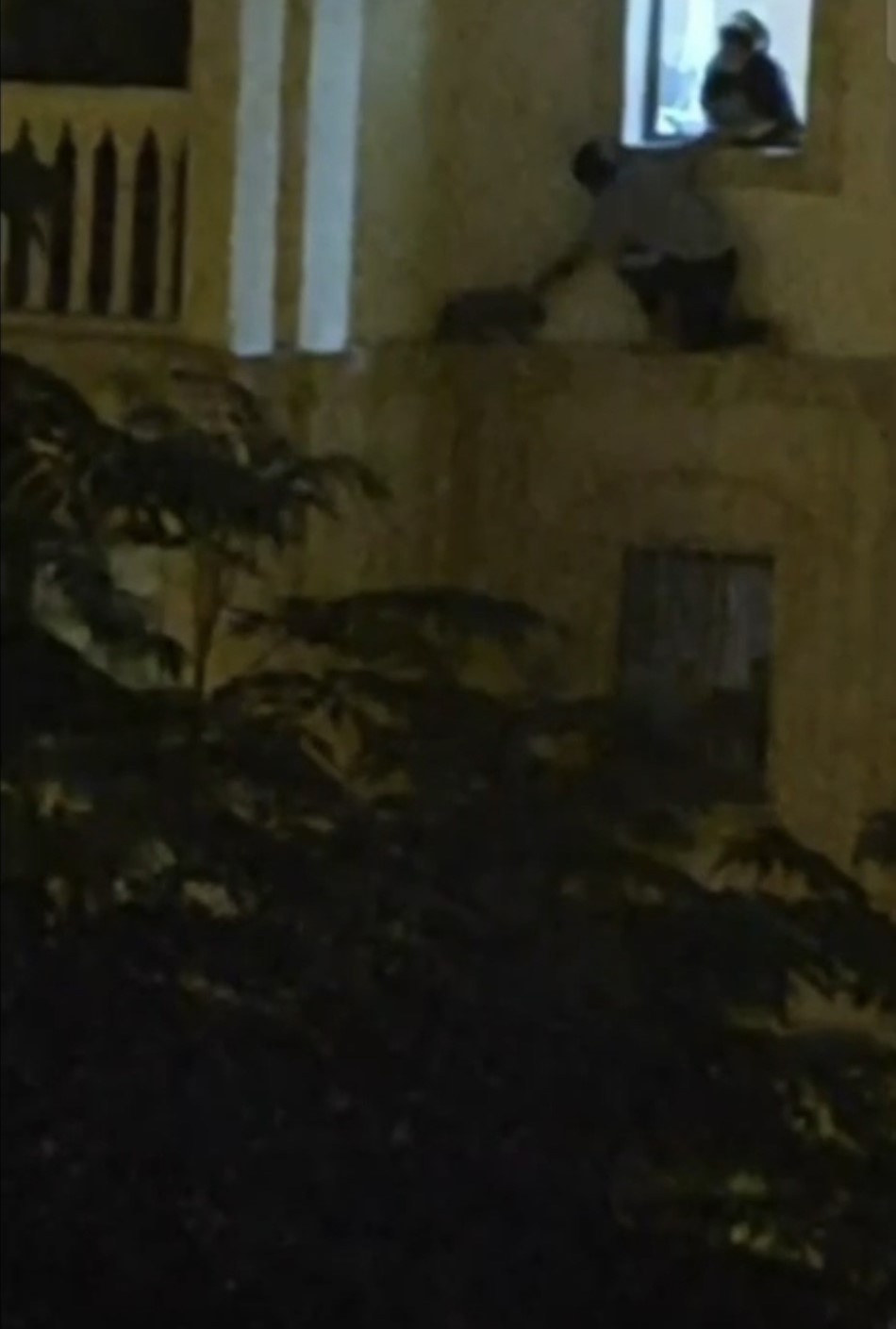 Mardin’de mahsur kalan kedi kurtarıldı