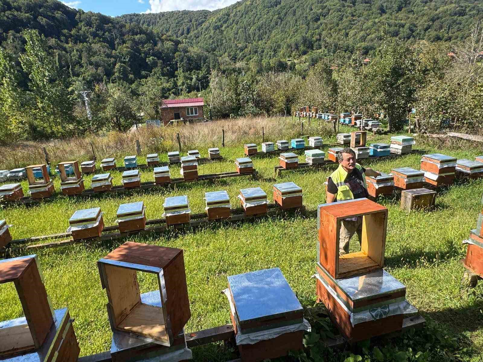 Sinop’ta kadın arıcıya 774 bin TL hibe desteği