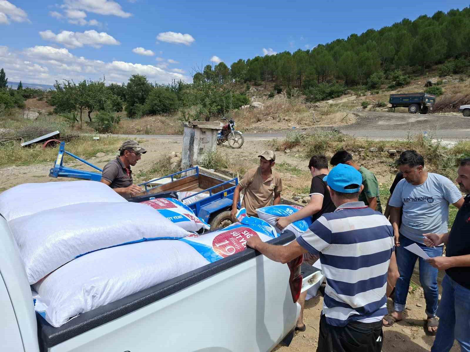 Yangında büyük zarar gören üreticiye yem desteği