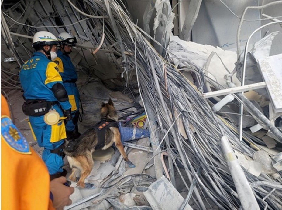 Japonya’daki 7.1’lik depremde ölü sayısı 38’e yükseldi
