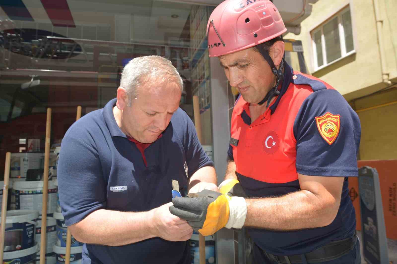 Ordu’da itfaiye ekipleri, ebabil kuşu için seferber oldu