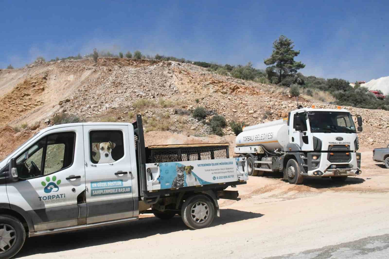 İzmir&rsquo;de ormanlık alanda &ccedil;ıkan yangın erken m&uuml;dahaleyle kontrol altında