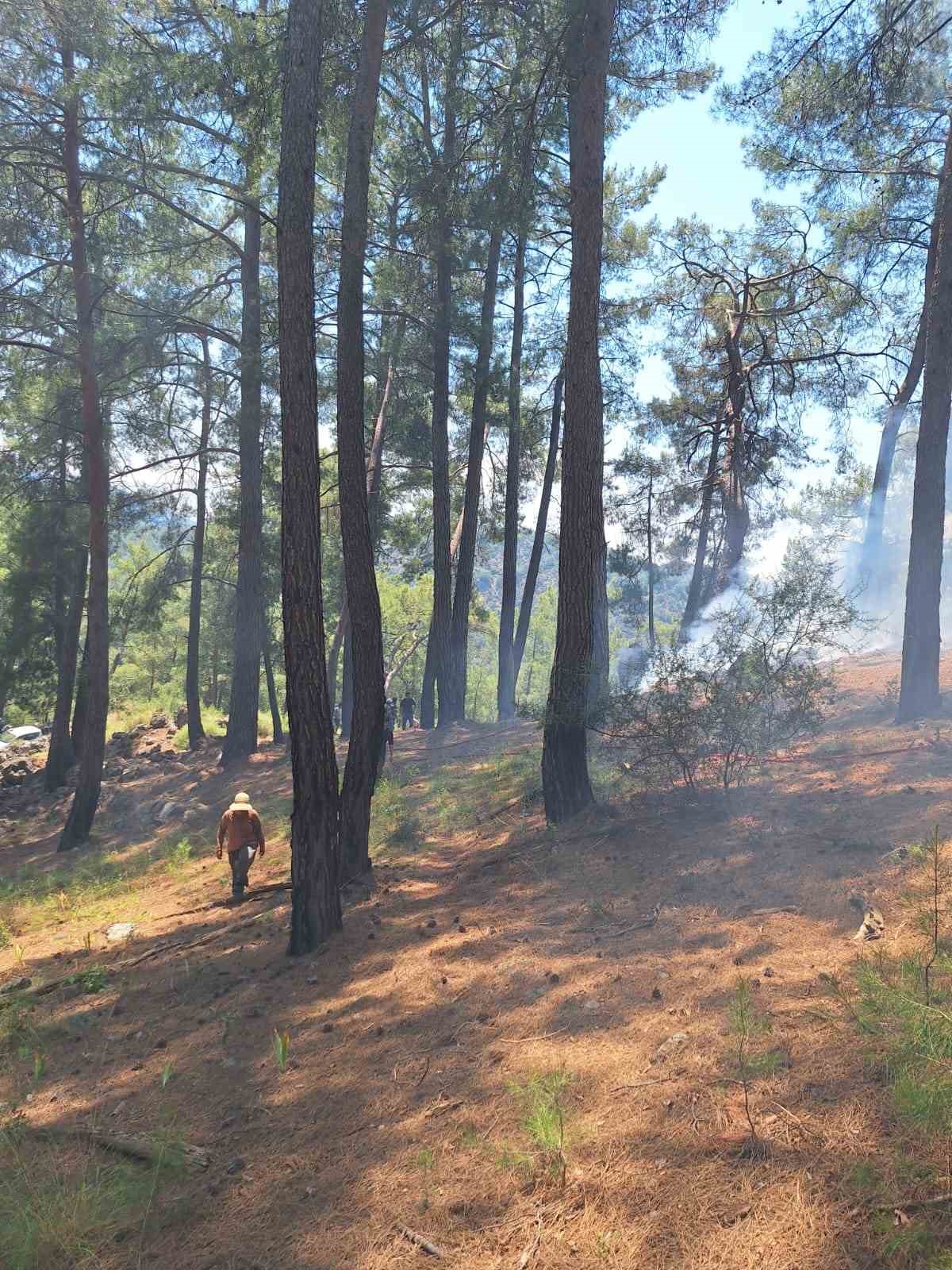 Seyir halindeki araçta çıkan yangın, ormanlık alana sıçradı