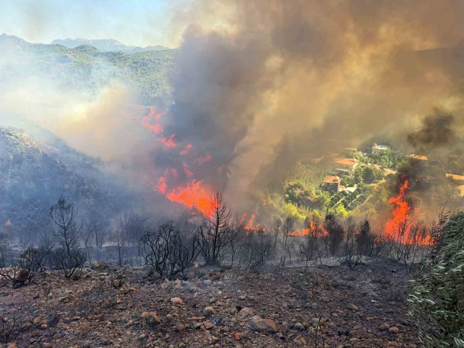 Kendisi küçük yüreği büyük; Besleyip büyüttüğü oğlağını yangın yerinden sırtında taşıyarak götürdü