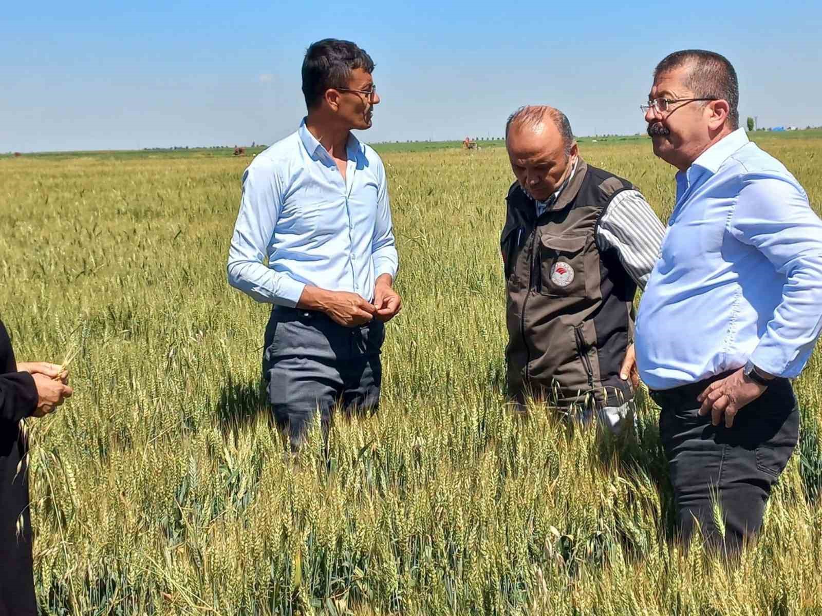 Karapınar’da dolu afetinin etkilediği alanlarda inceleme
