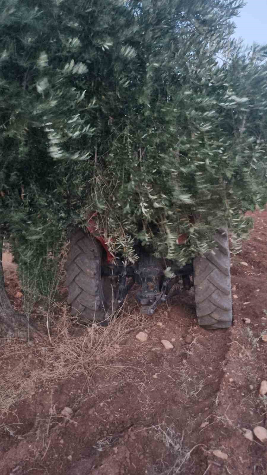 Çalınan traktör 13 gün sonra zeytinlikte bulundu