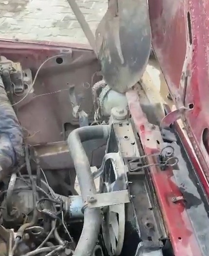 Tokat&rsquo;ta aracın motor kısmına giren yılanı itfaiye ekipleri k&uuml;rekle yakaladı