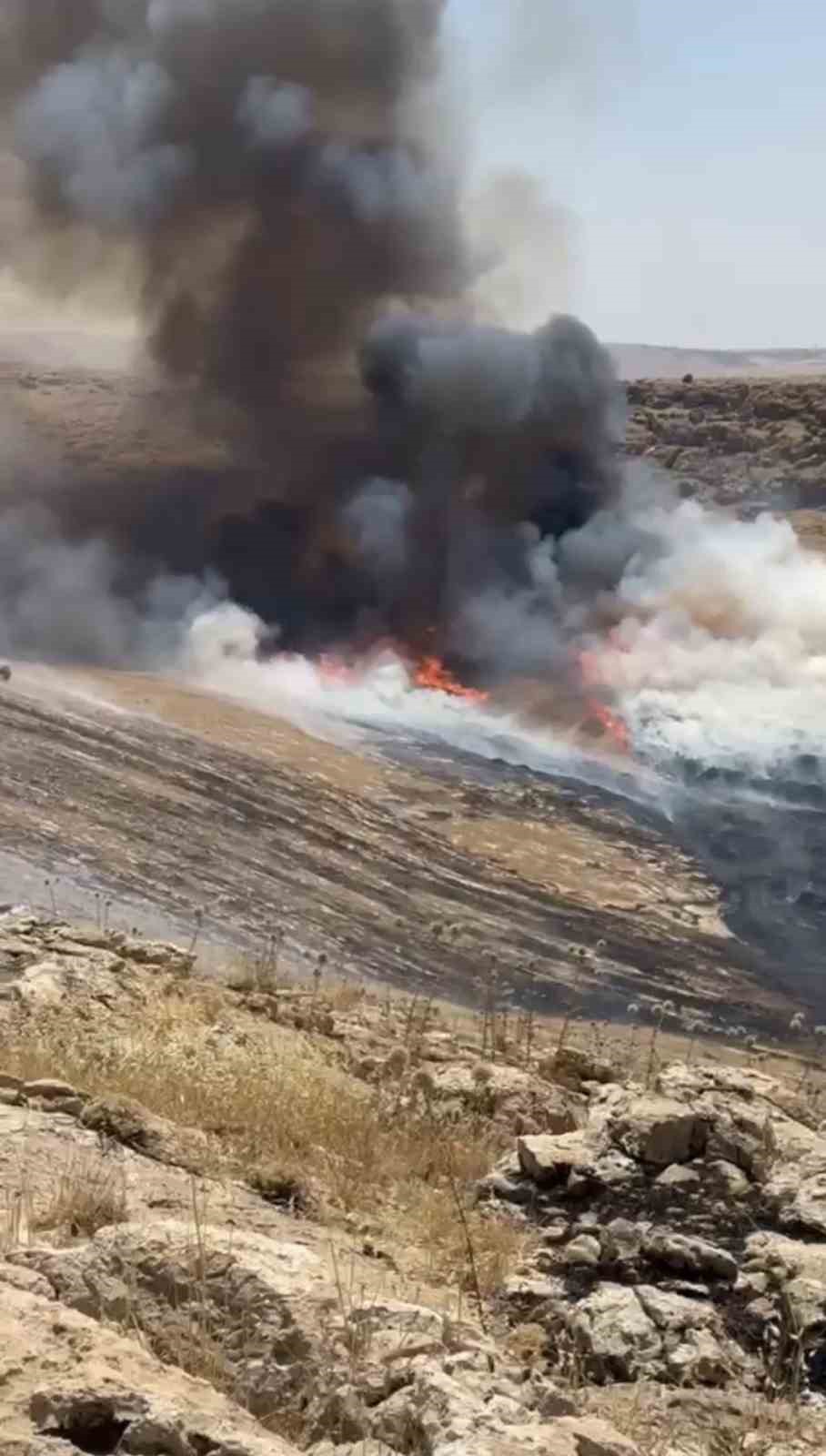Mardin’de çıkan ot yangını söndürüldü