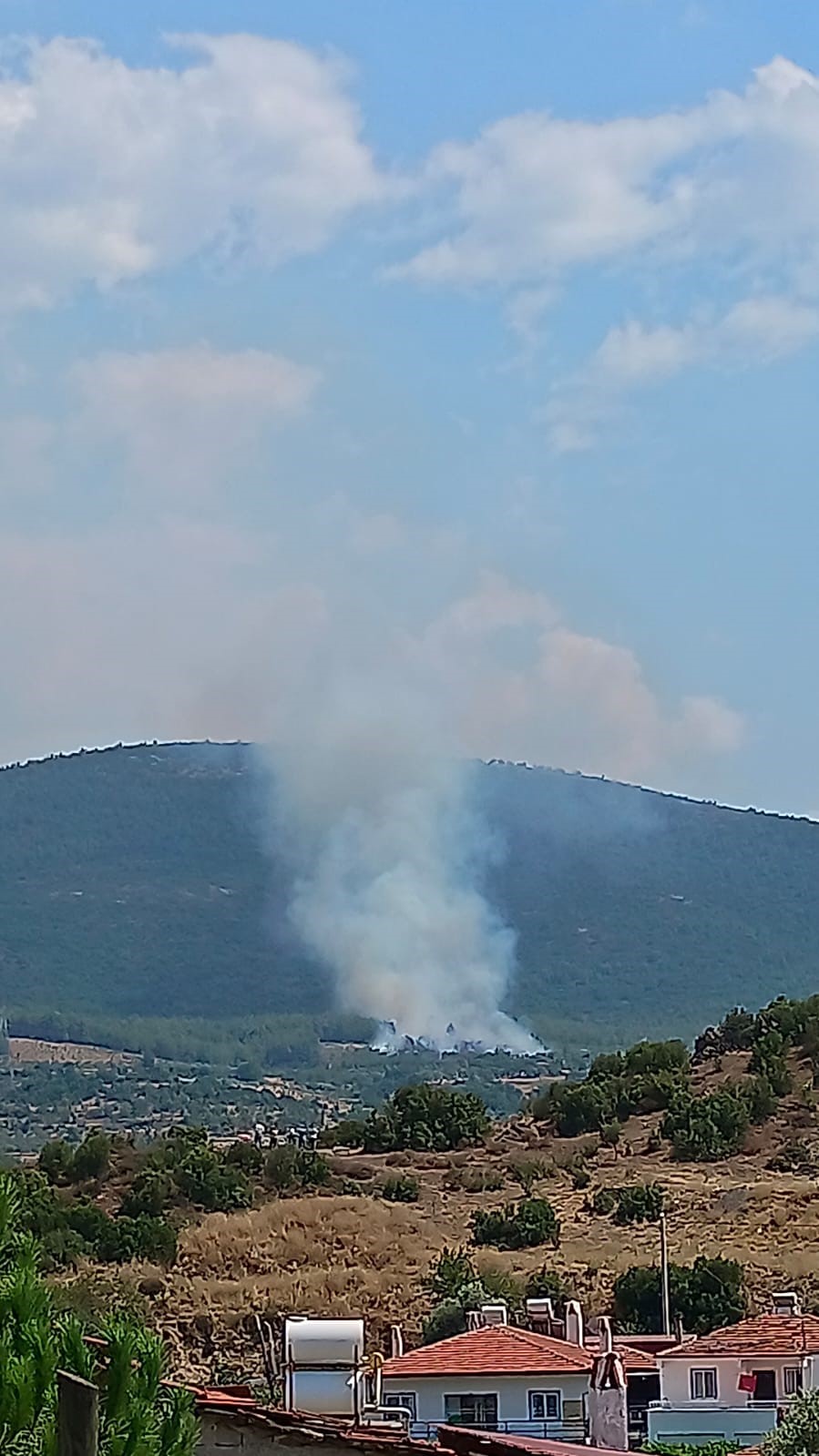 Yatağan’da zirai alanda başlayan yangın ormana sıçradı
