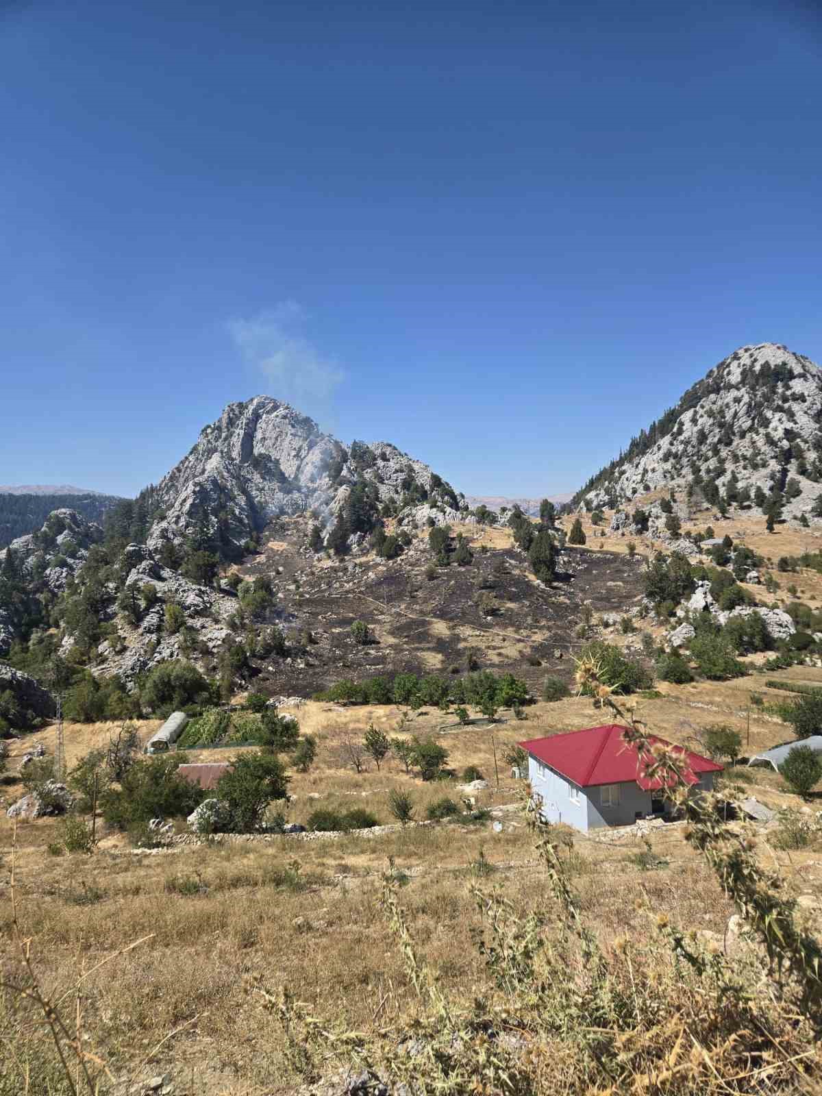 Alanya’nın iki ayrı mahallesindeki kısmen ormana sıçrayan yangın söndürüldü