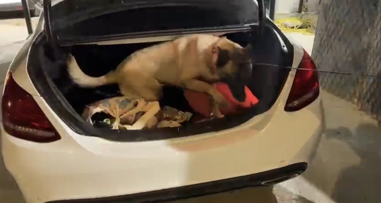 Narkotik köpeği Şila valizdeki 1 kilo 900 gram metamfetamini buldu