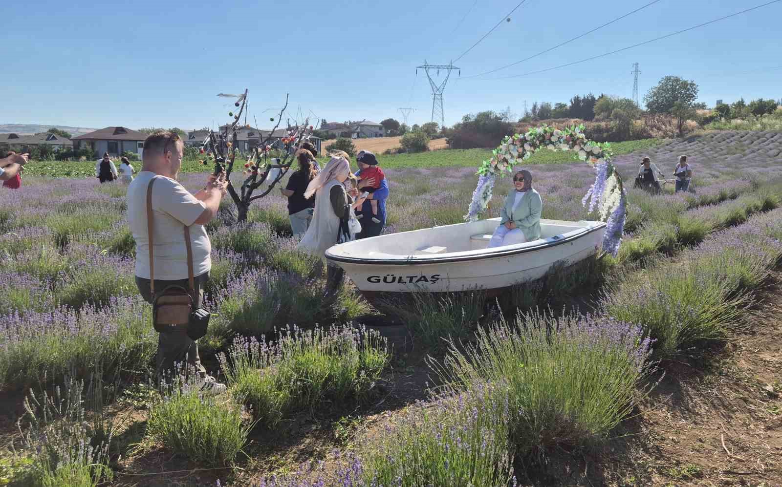 Tekirdağ’da Lavanta Şenliği başladı