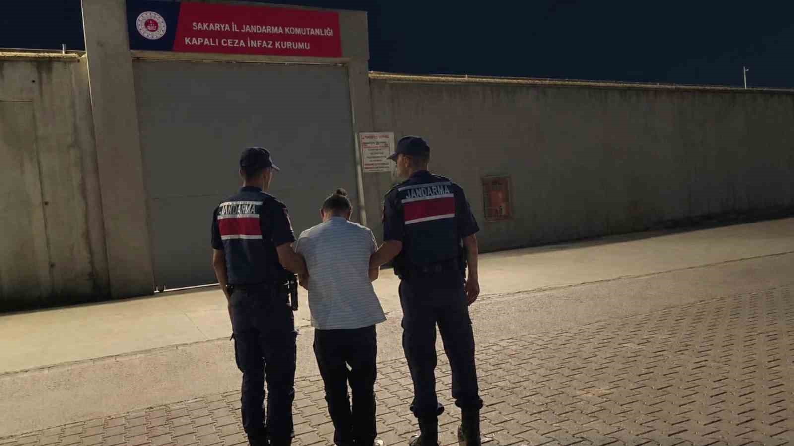 Tarlada 123 kök kenevir ele geçirildi: Kenevir tarlası havadan görüntülendi