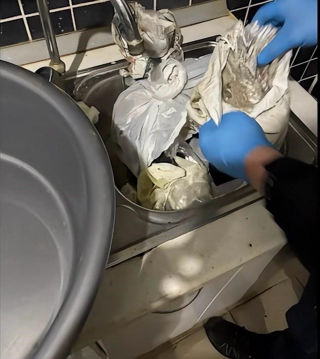 Diyarbakır&rsquo;da silahlı su&ccedil; &ouml;rg&uuml;t&uuml; şebekesi &ccedil;&ouml;kertildi: 40 g&ouml;zaltı