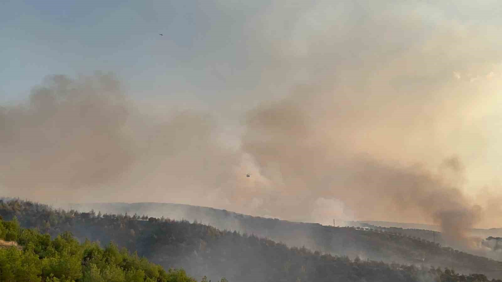 Kula’daki orman yangınına havadan ve karadan müdahale sürüyor