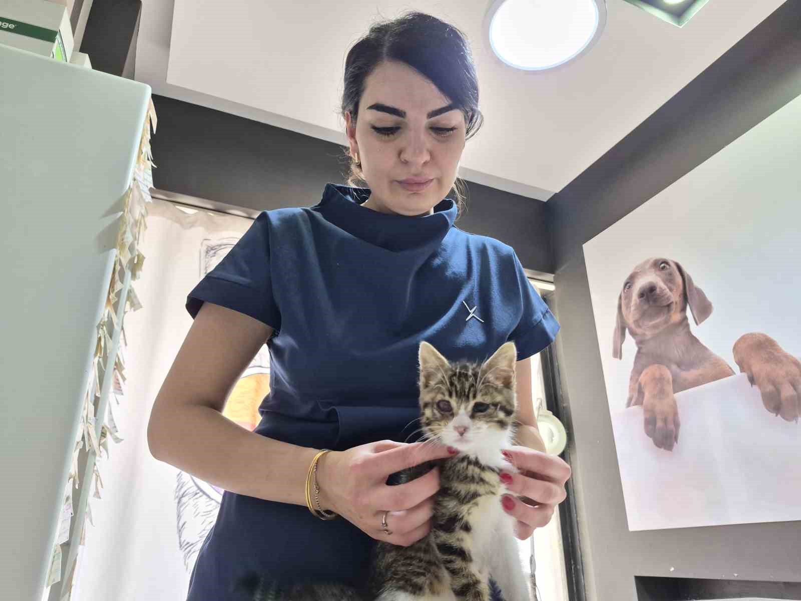 Evcil hayvan sahiplerine sıcak hava uyarısı