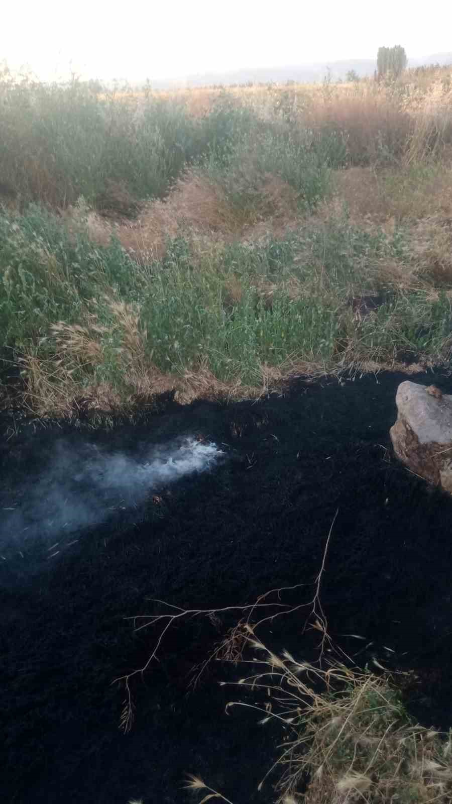 Anız yangını tarım arazileri ve ormanlık alana sıçramadan söndürüldü