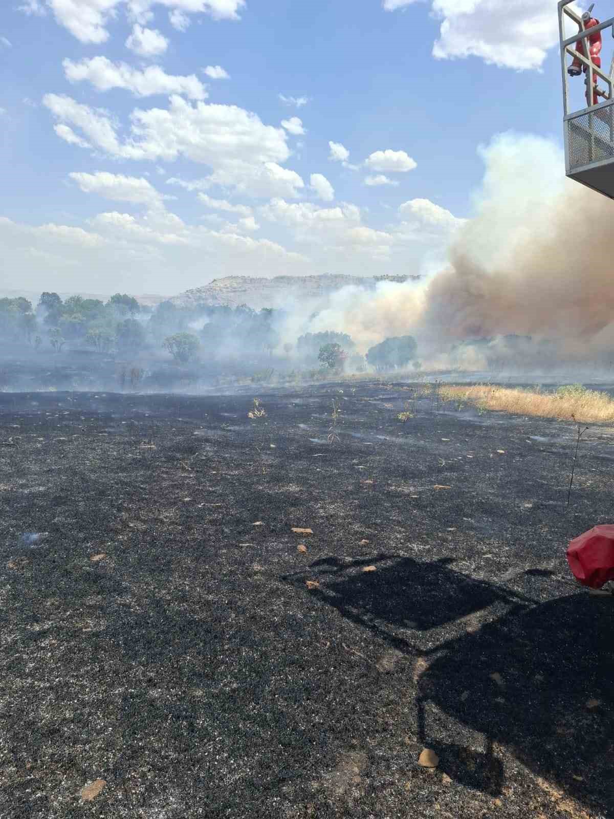 Diyarbakır’ın beş ilçesinde yangın