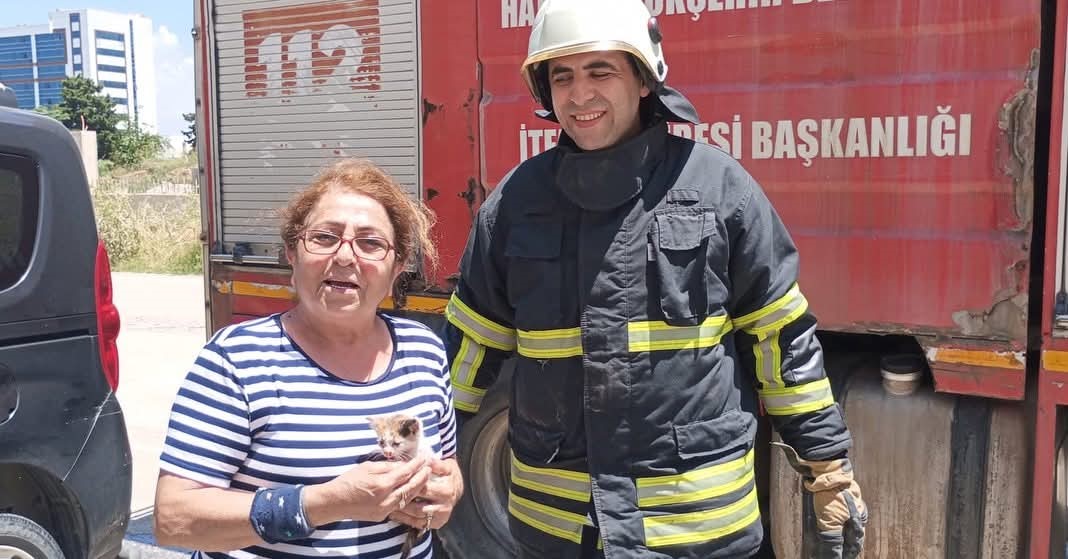 Arsuz’da aracın motor kısmına giren yavru kedi kurtarıldı