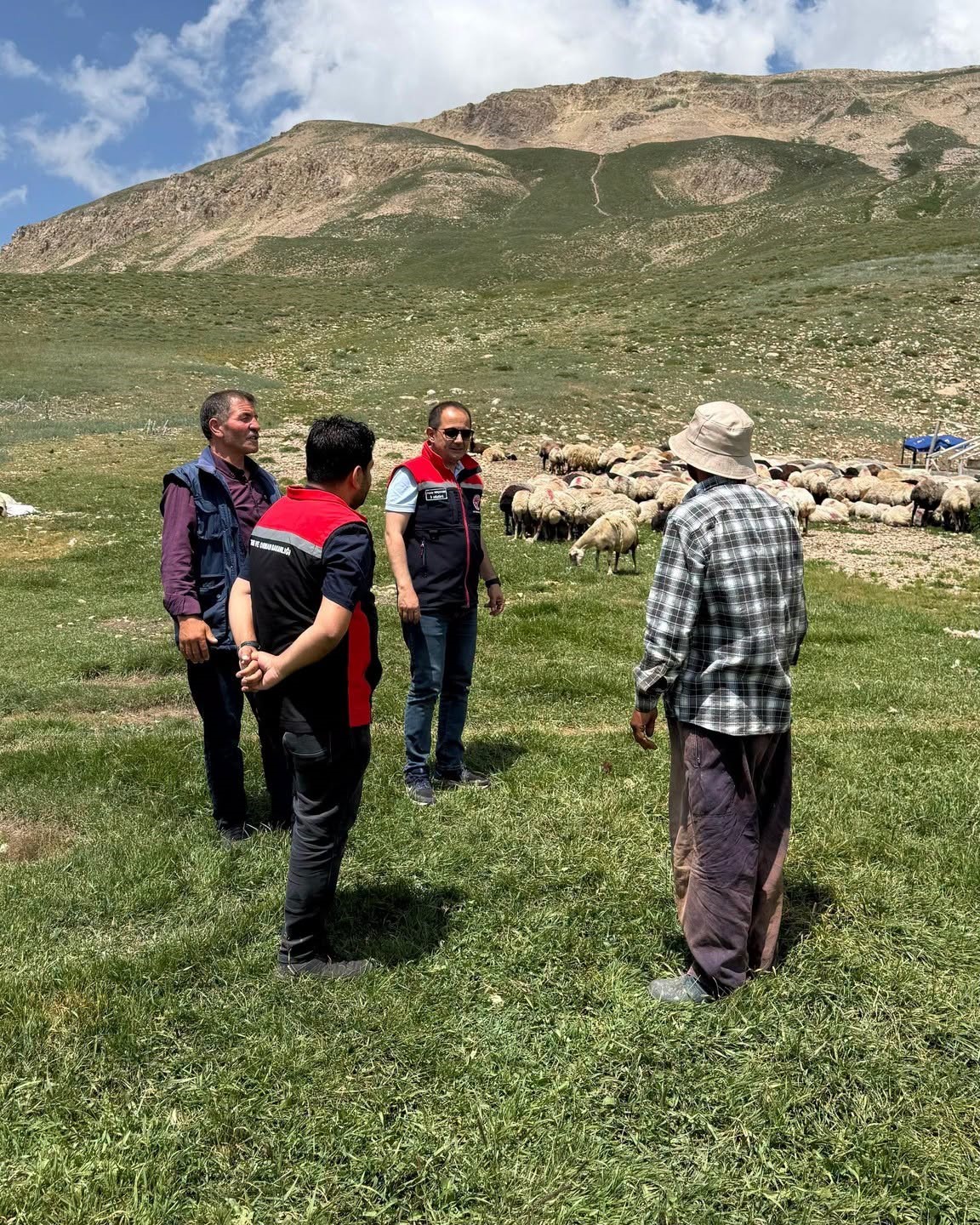 Erzincan Tulum Peyniri yaylalarda geleneksel yöntemlerle üretiliyor