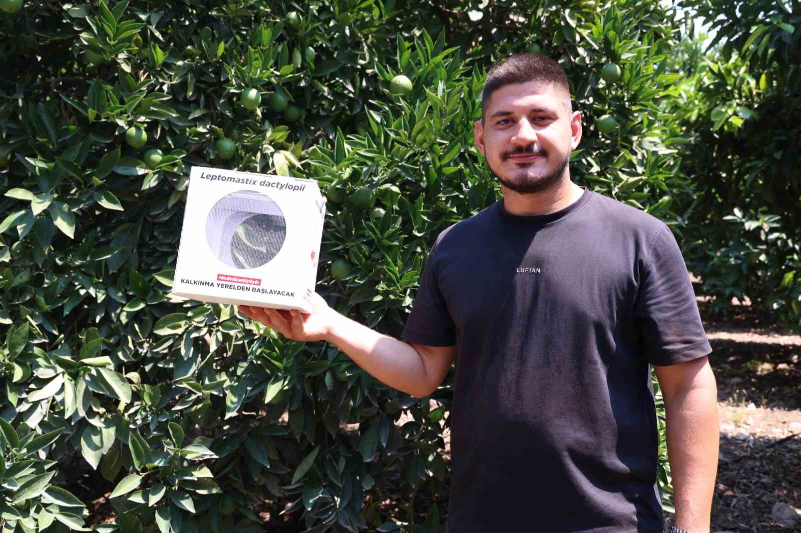 Antalya B&uuml;y&uuml;kşehir&rsquo;den 800 dekarlık arazi i&ccedil;in &ccedil;ift&ccedil;ilere faydalı b&ouml;cek dağıtımı