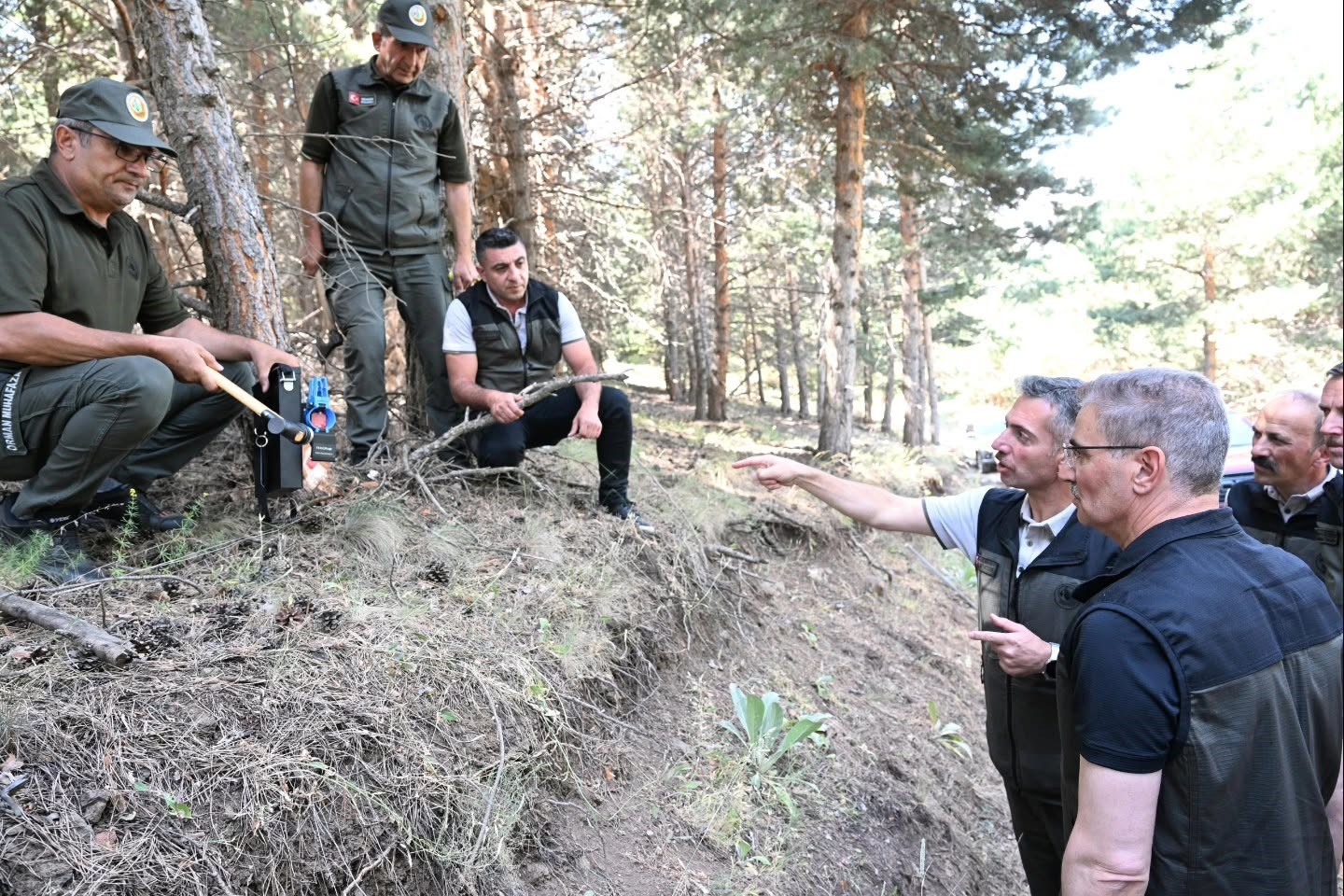 Palandöken’in orman varlığına inceleme