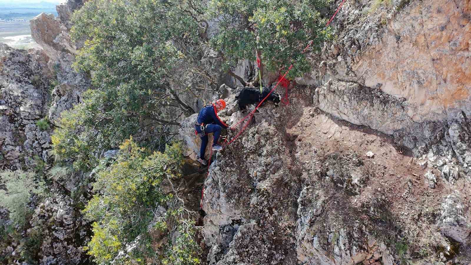 Dağda mahsur kalan ke&ccedil;iler kurtarıldı