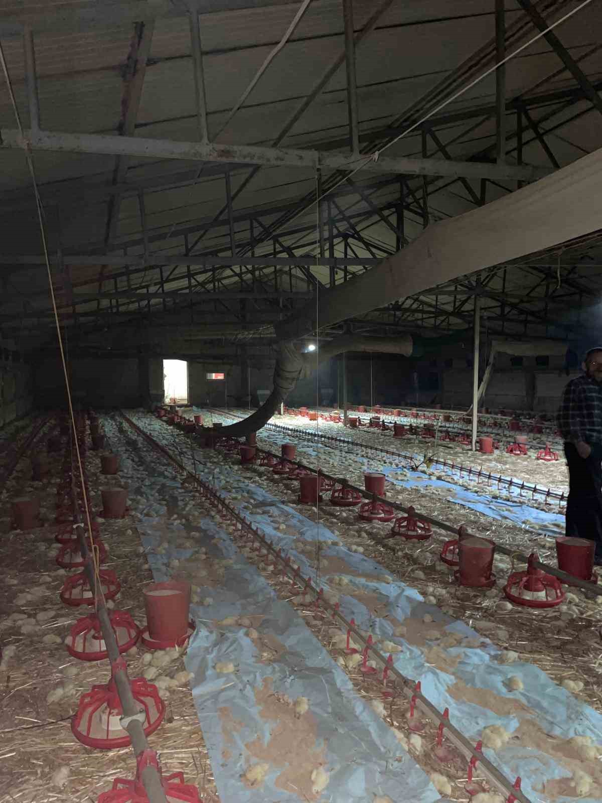 Bolu’da kümes yangını: 24 bin civciv telef oldu
