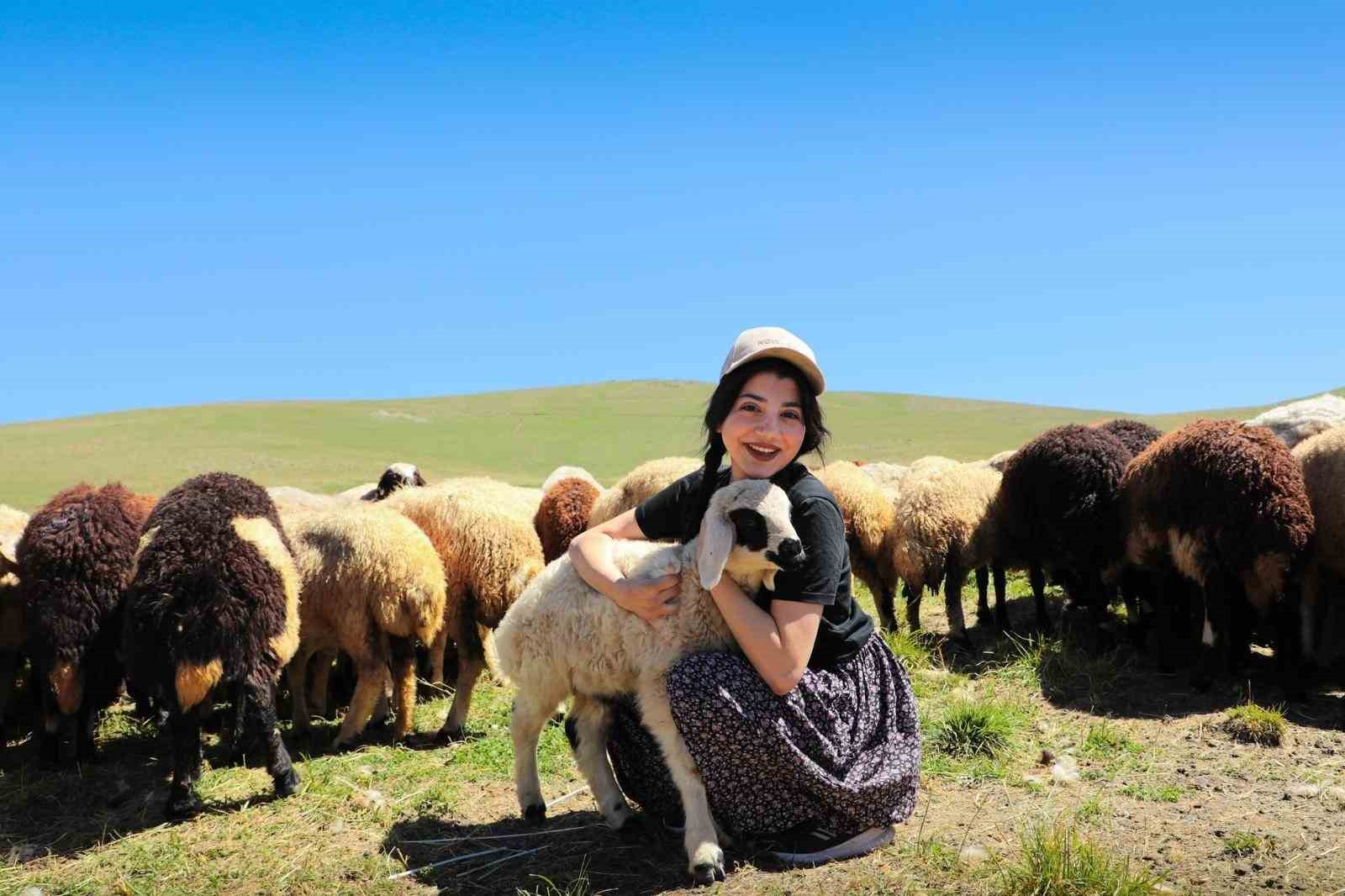 Erzincan Tulum Peyniri yaylalardan sofralara uzanıyor