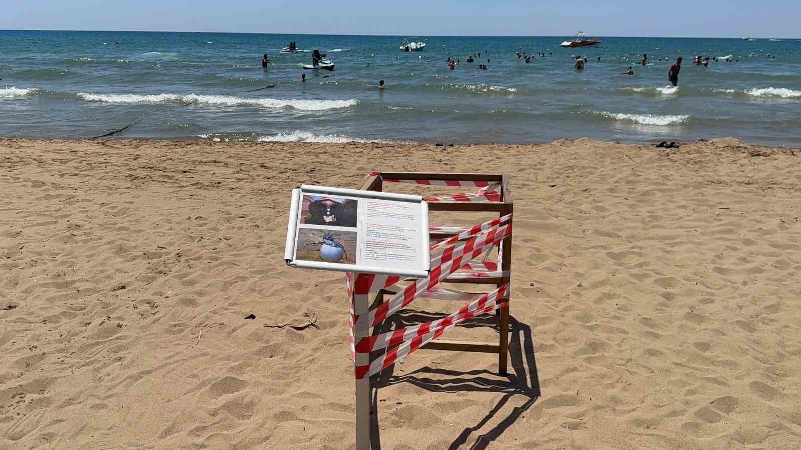 Antalya&rsquo;da &rsquo;caretta caretta&rsquo; yuvası bilmecesi