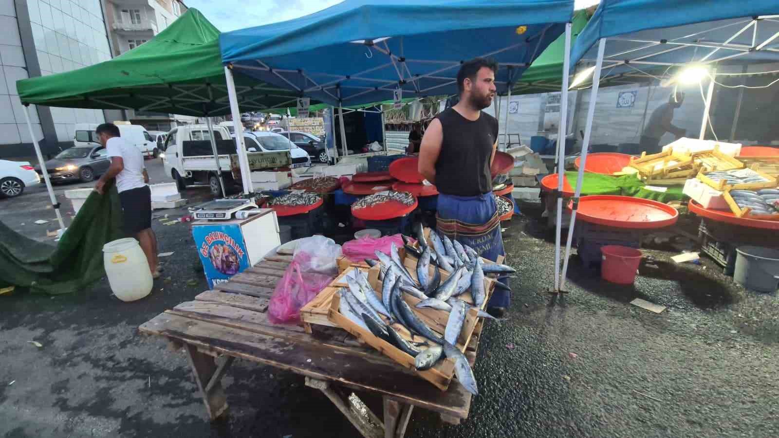 Tekirdağ’da palamut 75 TL’ye kadar düştü