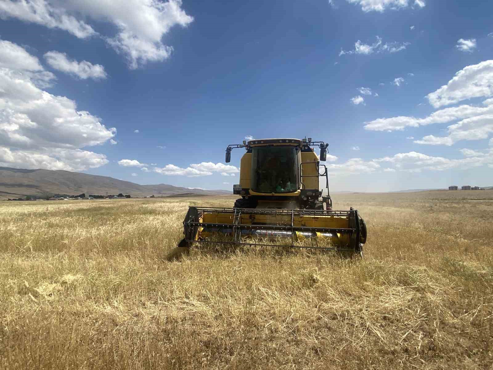 Ağrı&rsquo;da buğday bi&ccedil;me sezonu başladı